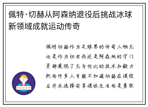 佩特·切赫从阿森纳退役后挑战冰球新领域成就运动传奇